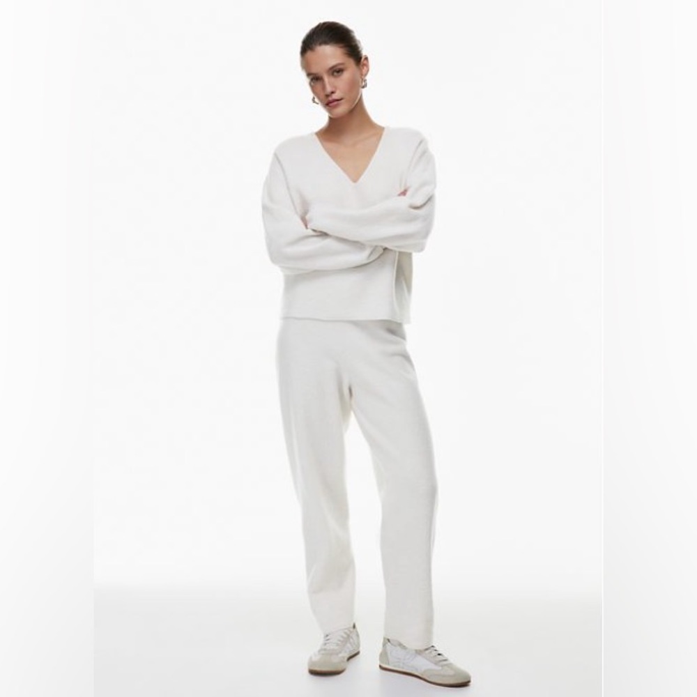 Aritzia The Group Babaton Energia Sweatpant